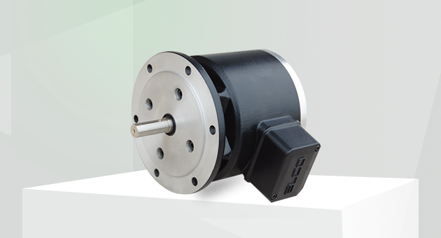 重載高防護(hù)型超速開關(guān)MVL115